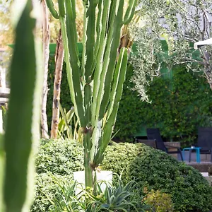 4* Hotel Mercure Centre Notre Dame